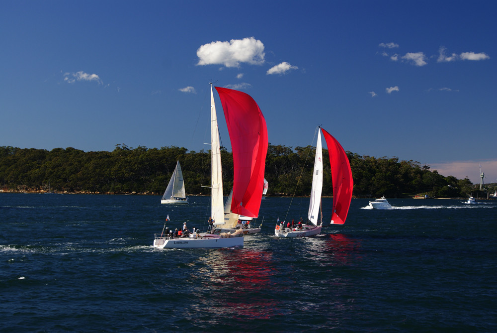 Sydney Habour Sailing von p.mayer 