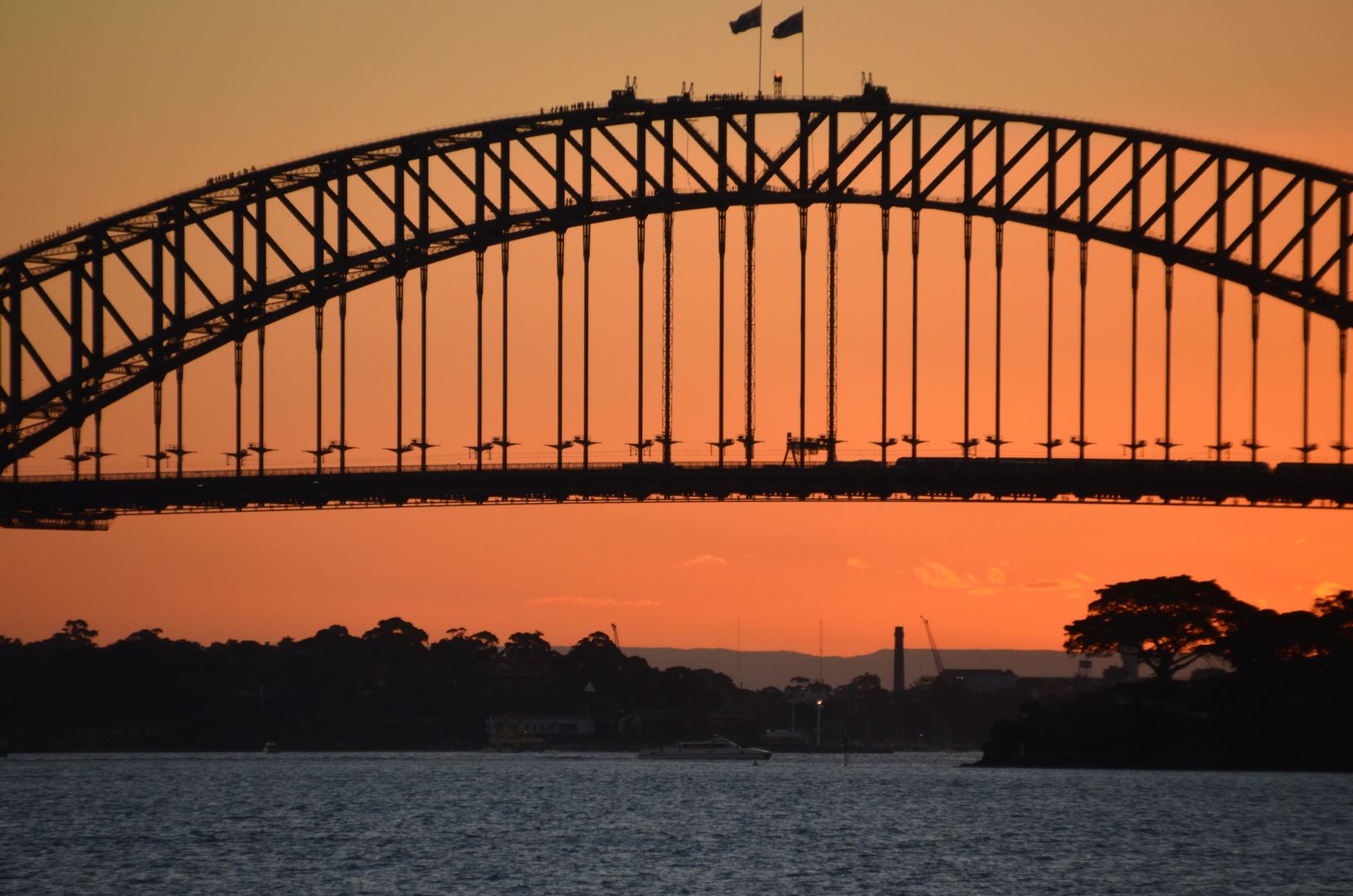 Sydney Harbor Brigde (2012)