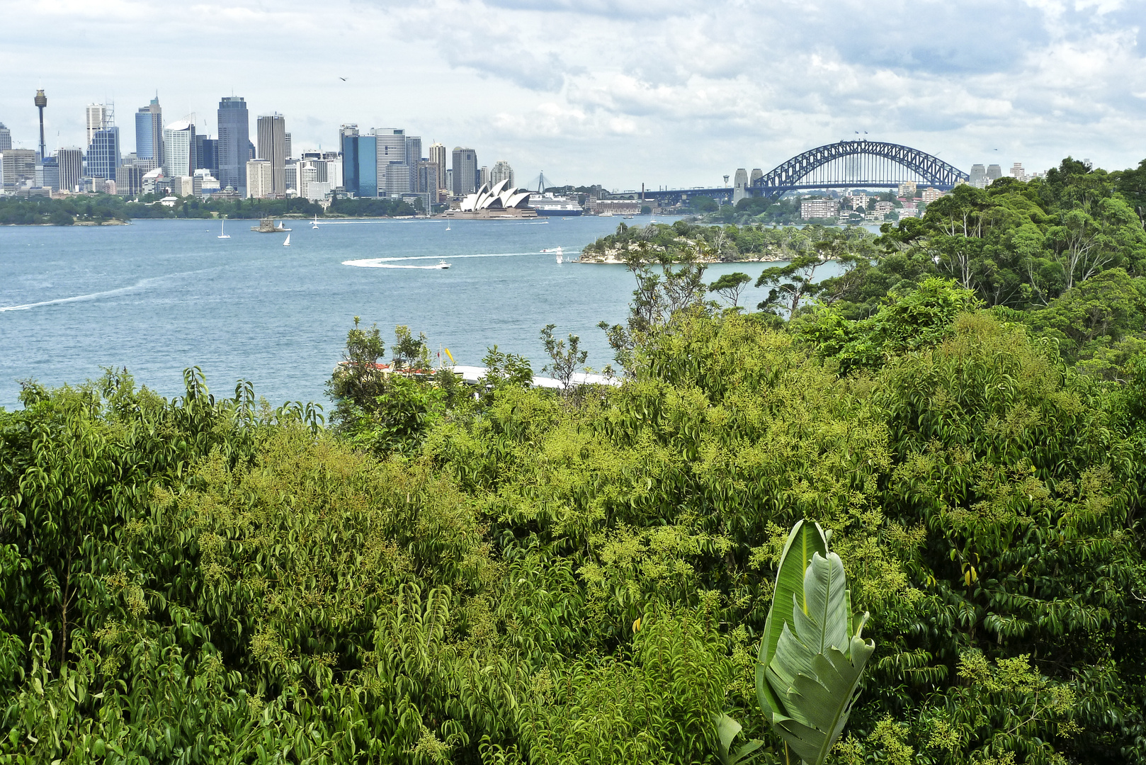 Sydney, Harbour