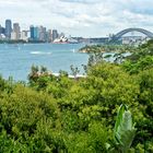 Sydney, Harbour