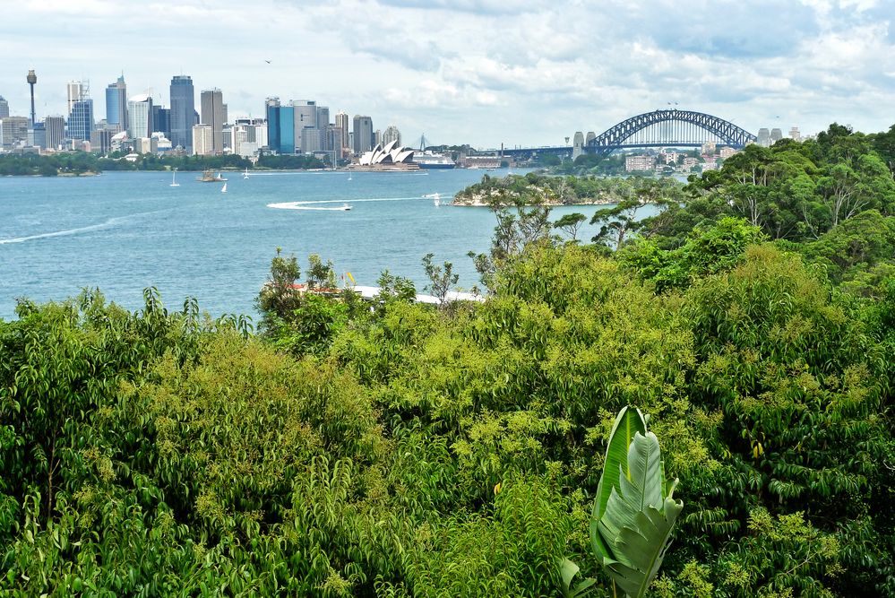 Sydney, Harbour