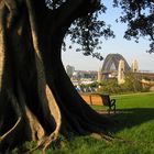 Sydney Harbour Bridge