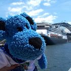 Sydney Harbour Bridge