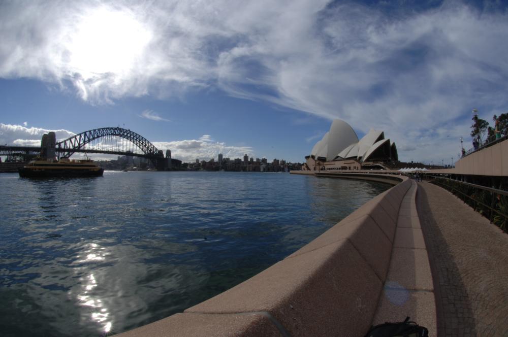 Sydney Harbour View