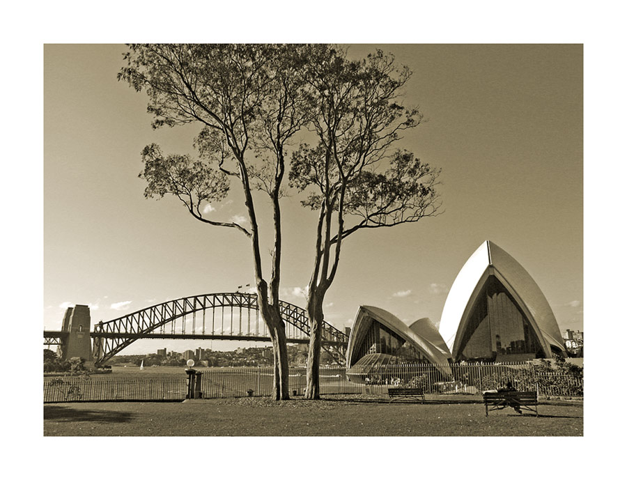 sydney harbour view