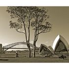 sydney harbour view