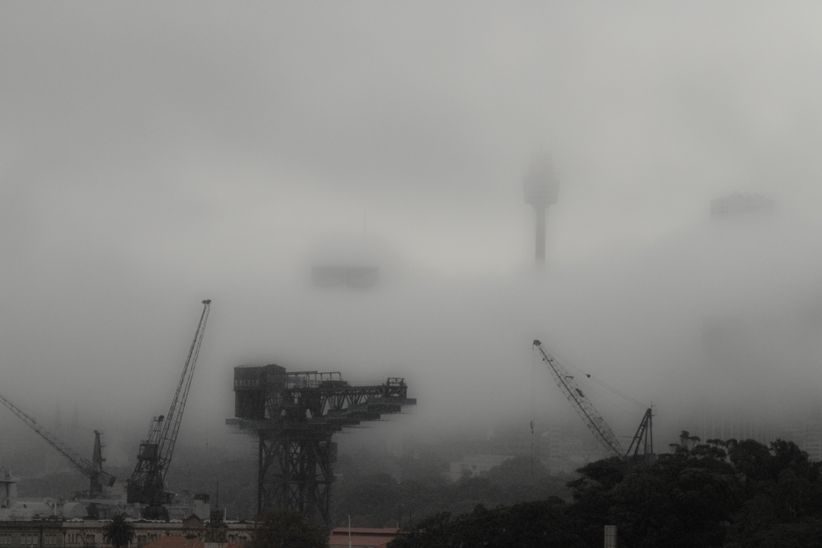 Sydney im Nebel