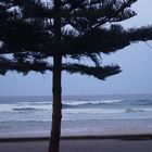 Sydney - Manly Beach