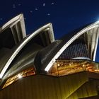 Sydney Oper bei Nacht