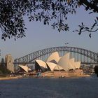 Sydney Opera