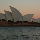 Sydney opera house