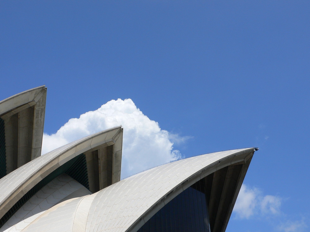 Sydney Opera House/ Detailaufnahme II