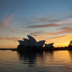 Sydney Opera in der Morgendämmerung