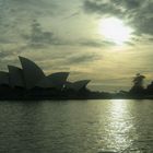 Sydney Shadow