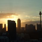 Sydney Skyline