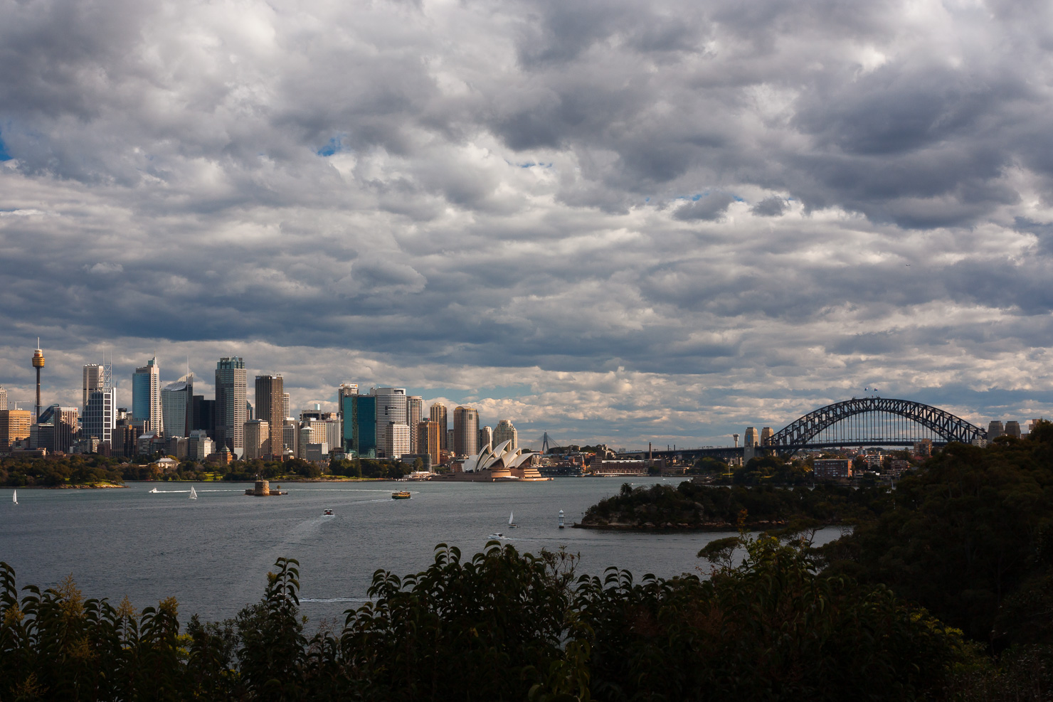 ~~ Sydney Skyline ~~