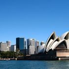 Sydney skyline daytime