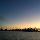 Sydney Skyline