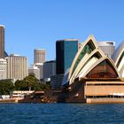 Sydney Skyline