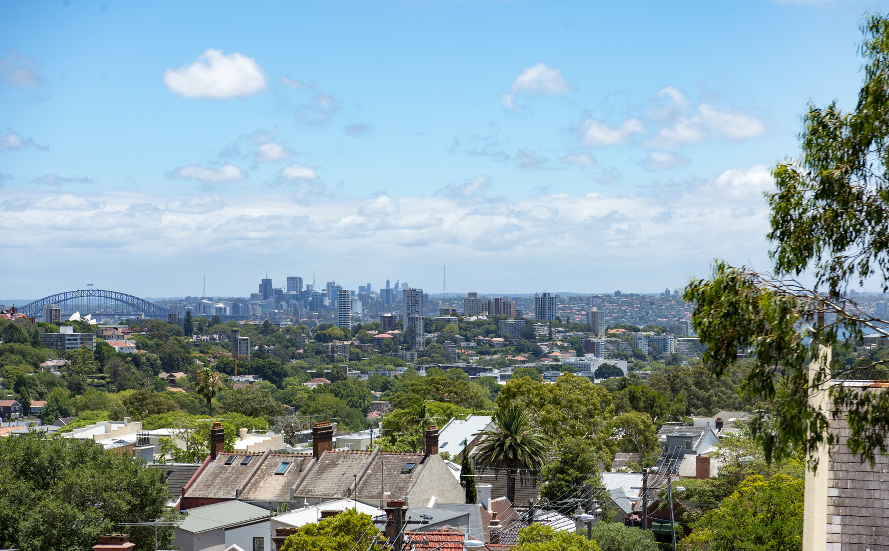 Sydney Skyline von Bondi