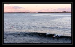 Sydney Surfer