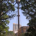 Sydney Tower