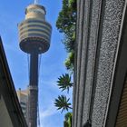 Sydney Tower