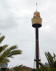 ..Sydney Tower..