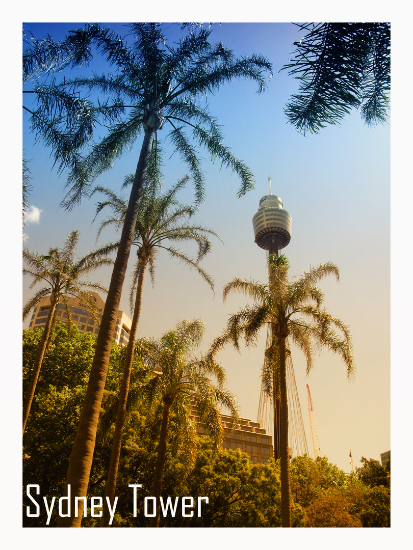 Sydney Tower