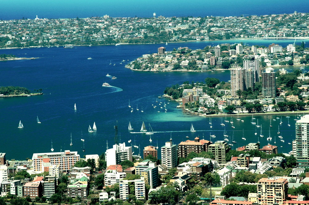 Sydney Tower Blick