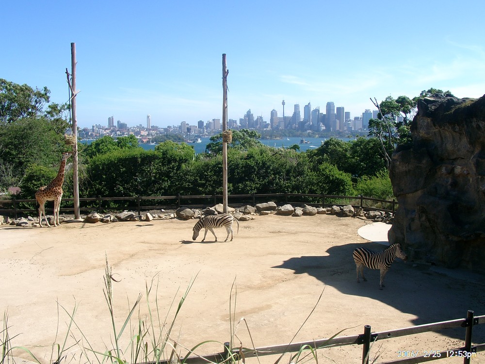 Sydney - Zoo