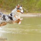 Sydneys erster Wasserfun