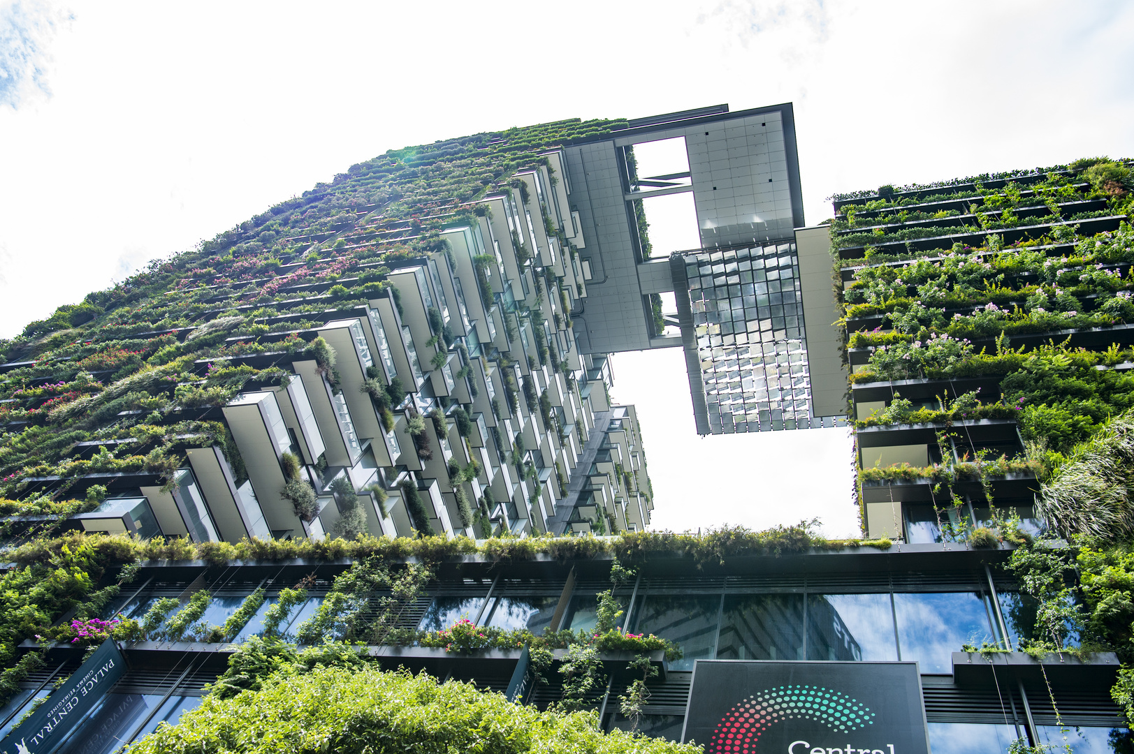 Sydney's "hängende Gärten" Foto & Bild architektur, stadtlandschaft