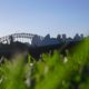 sydneys opera house