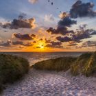 Sylt