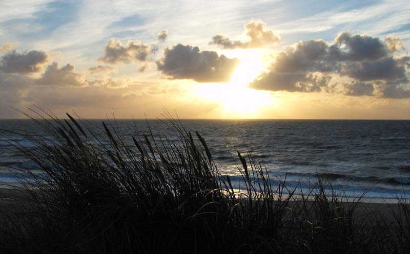 Sylt