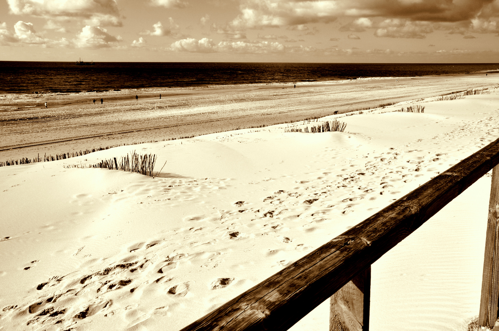 Sylt