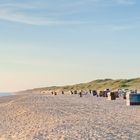 Sylt #1