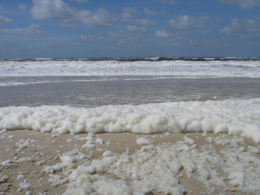 " SYLT 14 " " ALGENSCHAUM " Foto & Bild landschaft, meer & strand