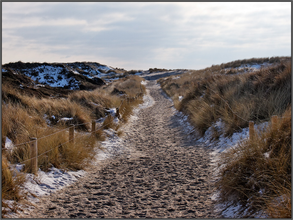 Sylt (15)