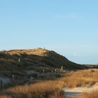 Sylt