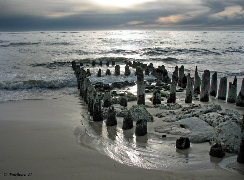 Sylt (2)