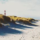 Sylt 2