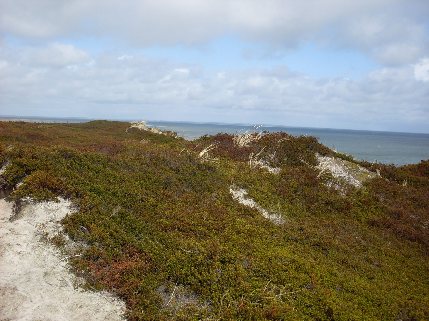 Sylt 2