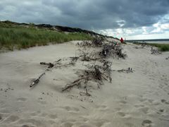 Sylt 2009 (2)