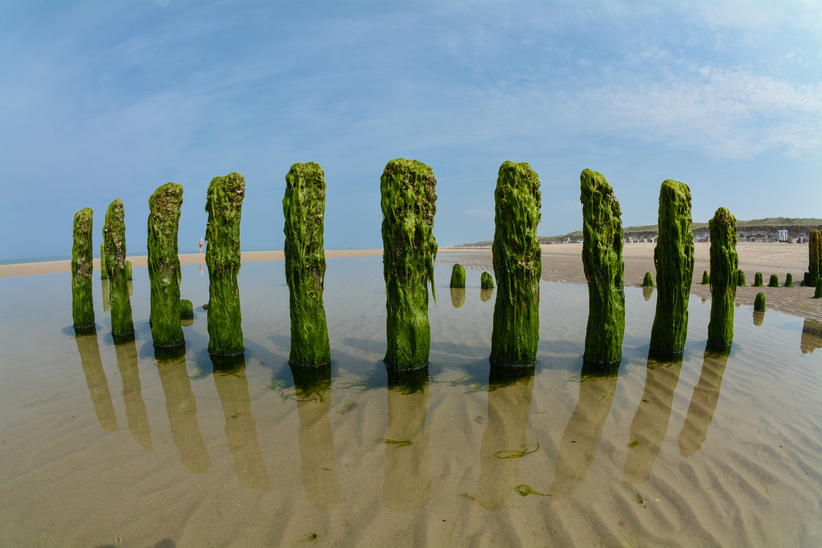 Sylt 2013 Buhnen während Ebbe am Strand bei Westerland