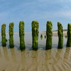 Sylt 2013 Buhnen während Ebbe am Strand bei Westerland