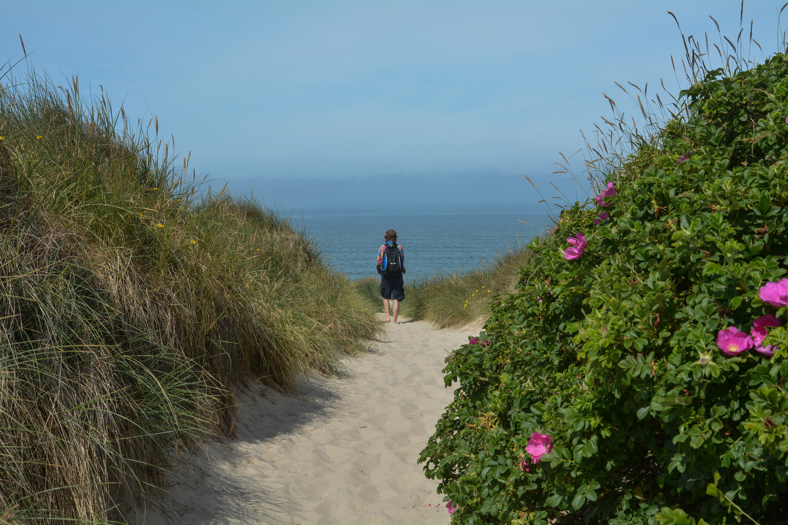 Sylt 2013: "Durch diese hohle Gasse muss er kommen" .... Strandweg Westerland