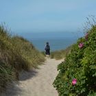 Sylt 2013: "Durch diese hohle Gasse muss er kommen" .... Strandweg Westerland