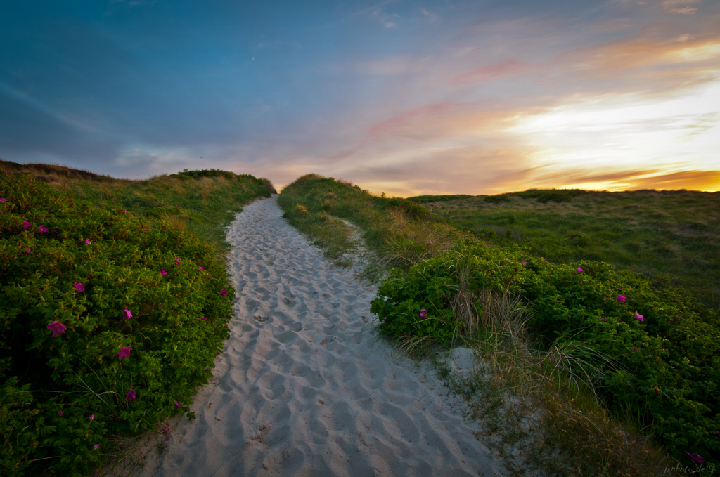 Sylt 2013 IV